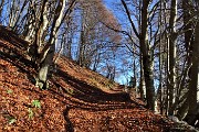 Pizzo Baciamorti e Monte Aralalta con giro ad anello da Capo Foppa di Pizzino il 4 novembre 2019 - FOTOGALLERY